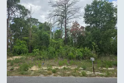 3475 El Prado Avenue, Spring Hill, FL 34609 - Photo 1