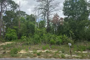 3475 El Prado Ave, Spring Hill, FL 34609 - Photo 1