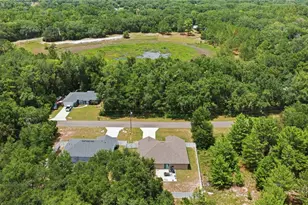 162 Guava Terrace, Ocklawaha, FL 32179 - Photo 18