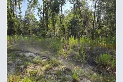 Lot 37 SW Hunter Hill Avenue, Dunnellon, FL 34431 - Photo 12