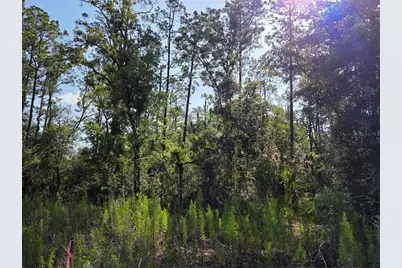 Lot 37 SW Hunter Hill Avenue, Dunnellon, FL 34431 - Photo 14