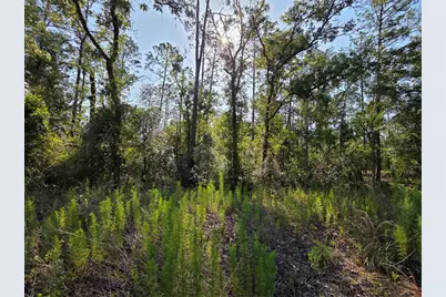 Lot 37 SW Hunter Hill Avenue, Dunnellon, FL 34431 - Photo 16