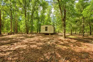 3450 NE 48th Ave, High Springs, FL 32643 - Photo 16