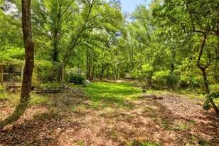 3450 NE 48th Ave, High Springs, FL 32643 - Photo 12
