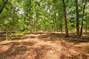 3450 NE 48th Ave, High Springs, FL 32643 - Photo 4