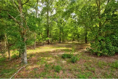 3450 NE 48th Avenue, High Springs, FL 32643 - Photo 2