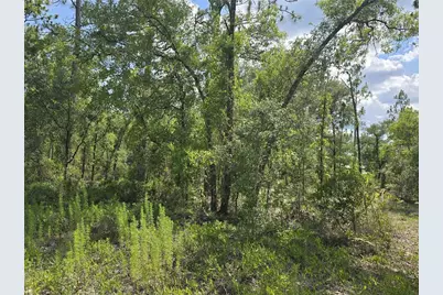 00 NE 121st Avenue, Williston, FL 32696 - Photo 4