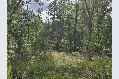 00 NE 121st Avenue, Williston, FL 32696 - Photo 2
