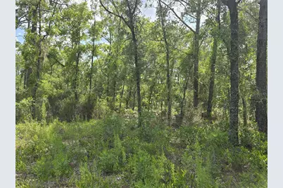 00 NE 121st Avenue, Williston, FL 32696 - Photo 10
