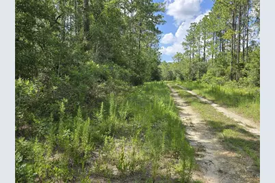 00 NE 121st Avenue, Williston, FL 32696 - Photo 6