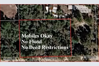 Lot 5 & 6 NE 237th Lane, Fort Mc Coy, FL 32134 - Photo 2