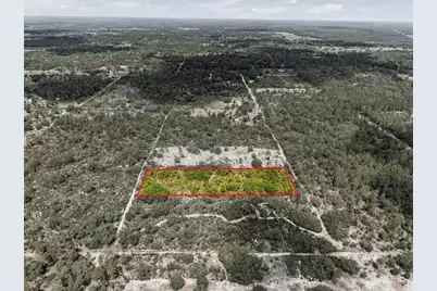 Lot 00 NE 56th St, Bronson, FL 32621 - Photo 16