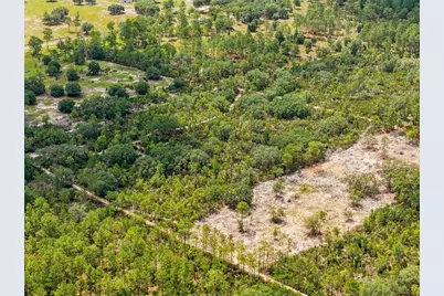Lot 00 NE 56th St, Bronson, FL 32621 - Photo 8