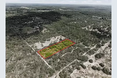 Lot 00 NE 56th St, Bronson, FL 32621 - Photo 14