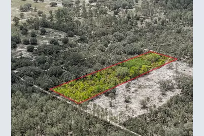 Lot 00 NE 56th St, Bronson, FL 32621 - Photo 1