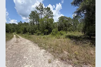 00 NE 65th Terrace, Williston, FL 32696 - Photo 6