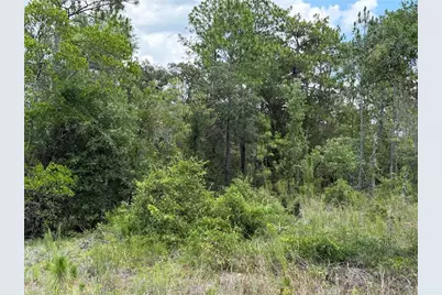 00 NE 65th Terrace, Williston, FL 32696 - Photo 2