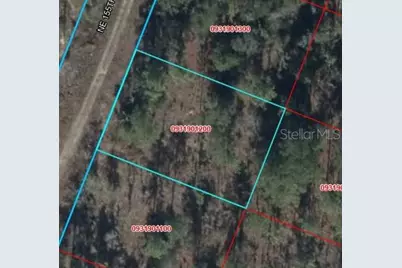00 NE 65th Terrace, Williston, FL 32696 - Photo 8