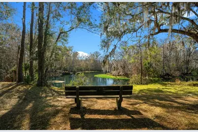 2850 NE 103rd Terrace, Silver Springs, FL 34488 - Photo 84