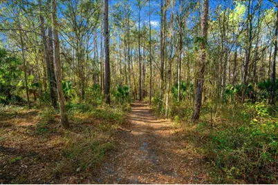 2850 NE 103rd Terrace, Silver Springs, FL 34488 - Photo 90