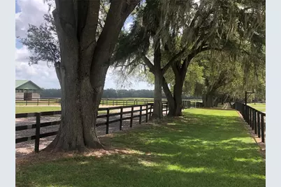 30th Street, Morriston, FL 32668 - Photo 4