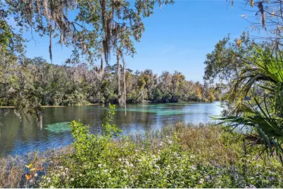 9776 SW 196th Circle, Dunnellon, FL 34432 - Photo 46