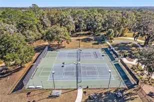 9776 SW 196th Cir, Dunnellon, FL 34432 - Photo 42