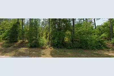 00 NW Falcon Avenue, Dunnellon, FL 34431 - Photo 2