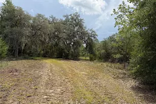 9730 NE State Rd 24, Archer, FL 32618 - Photo 14