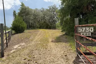 9730 NE State Rd 24, Archer, FL 32618 - Photo 10
