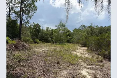 9730 NE State Road 24, Archer, FL 32618 - Photo 12