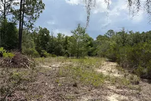 9730 NE State Rd 24, Archer, FL 32618 - Photo 12