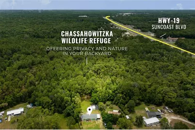 7927 W Cyprian Court, Homosassa, FL 34448 - Photo 2
