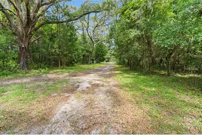 151 NE 164th Avenue, Williston, FL 32696 - Photo 28