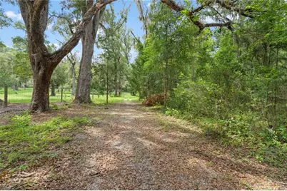 151 NE 164th Avenue, Williston, FL 32696 - Photo 2
