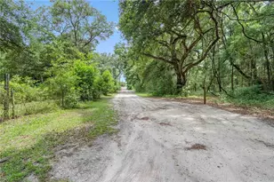 151 NE 164 Ave, Williston, FL 32696 - Photo 30