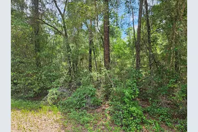 1582 Derby Dr., Dunnellon, FL 34434 - Photo 2