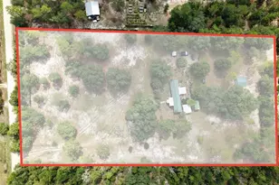 12750 NE 65 St, Williston, FL 32696 - Photo 2