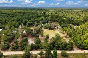 12750 NE 65 St, Williston, FL 32696 - Photo 44