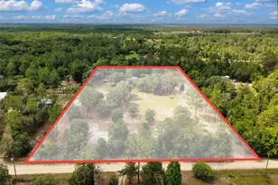 12750 NE 65 St, Williston, FL 32696 - Photo 46