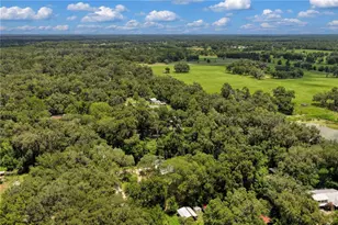 3151 NE 176th Terrace, Williston, FL 32696 - Photo 56