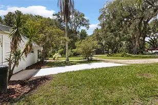 3151 NE 176th Terrace, Williston, FL 32696 - Photo 6