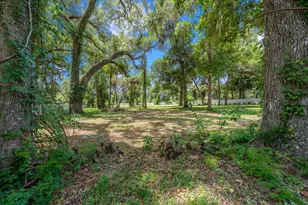 4886 E Hwy 316, Citra, FL 32113 - Photo 18