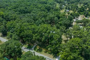 4886 E Hwy 316, Citra, FL 32113 - Photo 54