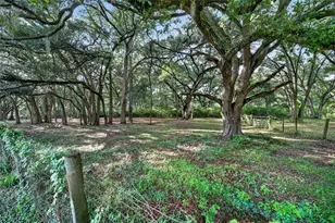 14210 NW Hwy 464B, Morriston, FL 32668 - Photo 78