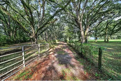 14210 NW Highway 464B, Morriston, FL 32668 - Photo 80