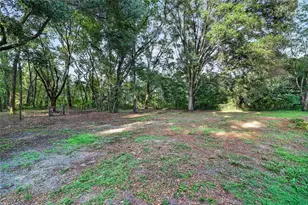 14210 NW Hwy 464B, Morriston, FL 32668 - Photo 34