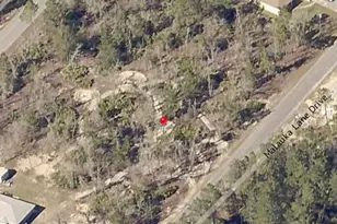 00 Malauka Trail Dr, Ocklawaha, FL 32179 - Photo 1