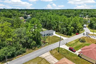 6 Fir Dr Track, Ocala, FL 34472 - Photo 36