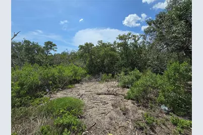 Main Street, New Port Richey, FL 34652 - Photo 22